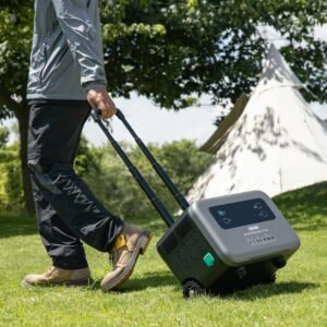a man pulling a suitcase on wheels in the grass